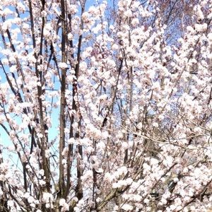 Meet your Posher, Ozlem